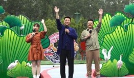 烟台海参爆料视频播放最新,揭秘海参行业背后的真相与最新动态